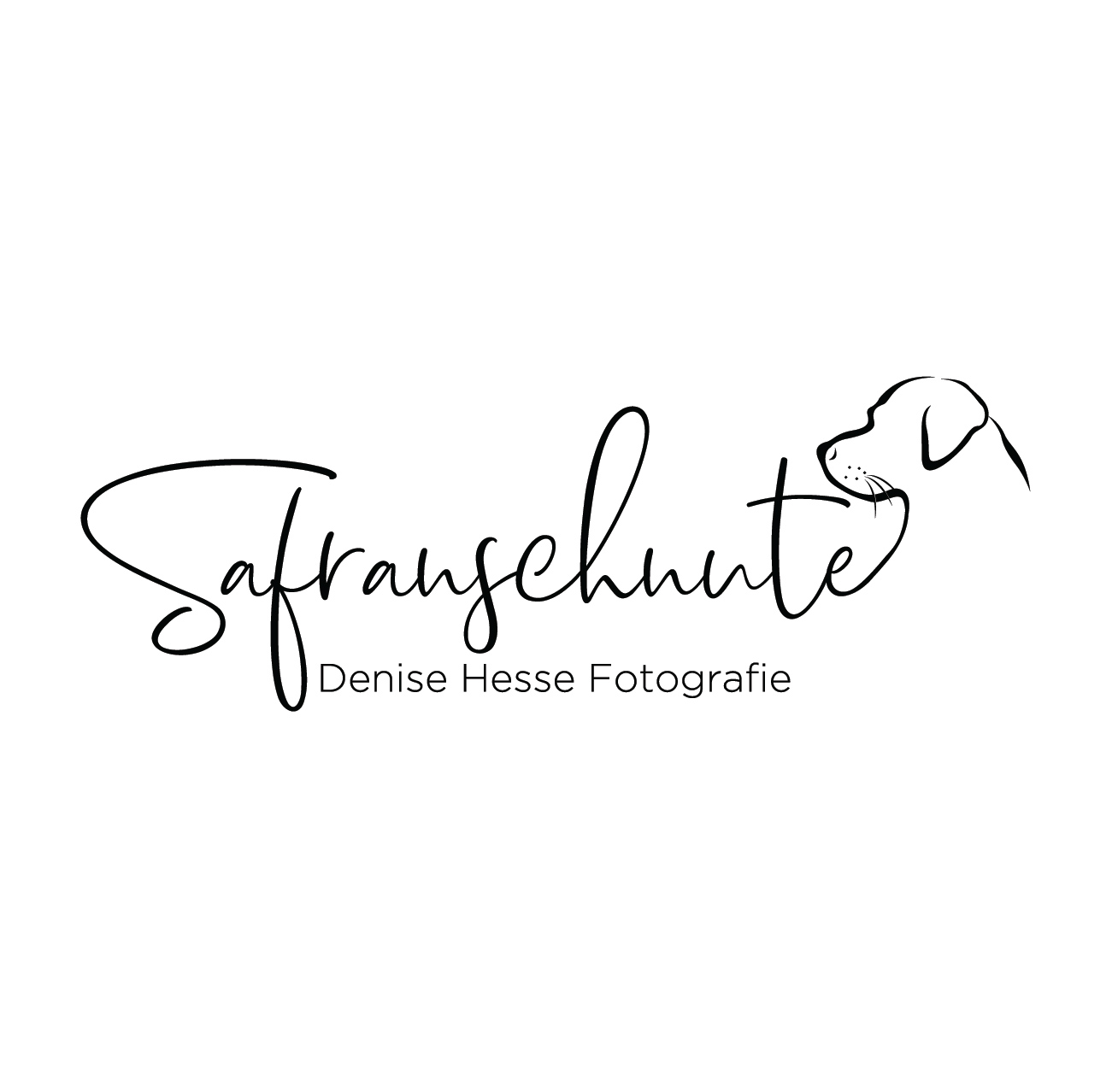 Safranschnute &ndash; Denise Hesse Hundefotografie